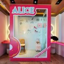 앨리스 도넛 이미지