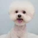 나봄스파 이미지