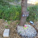 애견가족 이미지