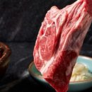 조이하우스 이미지