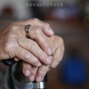 창원성심노인전문요양원 네이버블로그