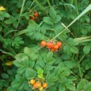 온천장여관 이미지