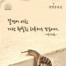 안양천 산책로 이미지