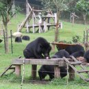 독곰농장 이미지