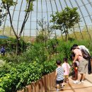 인천나비공원 이미지