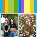 신남초정문 이미지