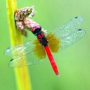 별이랑달이랑 이미지