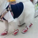 폴리파크 진평점 이미지