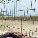 바다랑포도펜션 이미지