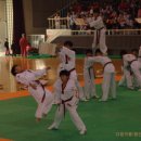 둥지태권도체육관 이미지