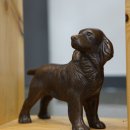 경북반려동물장례식장 이미지