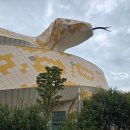 함평천지생태농장 | 비 오는 날 더 매력적인 함평양서파충류생태공원 후기 (입장료·주차·주변 관광지까지!)