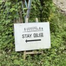 stay 이너프 이미지