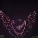 [부산맛집] 광안리 민락회타운 &#39;해남상회&#39; + &#39;곰포횟집&#39; 내돈내산 방문후기