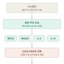 “인류의 암 정복, 점점 정교해지는 면역항암치료..‘나노’기술 접목한다” 이미지