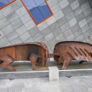 청도소싸움테마파크 이미지