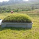 병욱농장 이미지