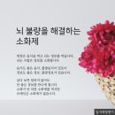 단월드 | 단월드 논현센터 1년 다닌 솔직후기