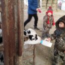 음매목장 이미지