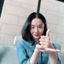 모종야채 뉴스엔