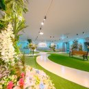 나움병원 이미지