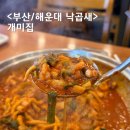 개미집식당 | 해운대 개미집 웨이팅 있는 낙곱새 맛집 솔직후기 (24시간 운영)