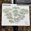 벌밭숲 | 화담숲 벚꽃 개화시기, 모노레일, 예약방법, 방문 후기