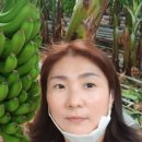 양남농장 이미지