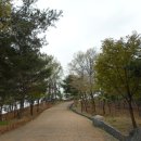 옥계공원 Daum카페