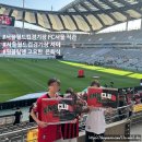 기동 동중족계 | 2024 K리그1 서울월드컵경기장 FC서울:포항 직관 / 고요한 은퇴식 / 동측 E구역 5열시야(Feat.영국 피터...