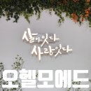 오헬모에드 이미지