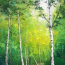 자작나무 이미지