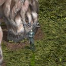 퓨알