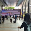 태풍카랜드 이미지