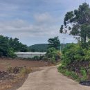 시흥리-7 이미지