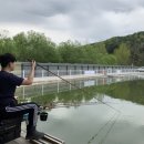 하늘낚시공원낚시터 이미지