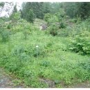 (주)우리정보교육 이미지