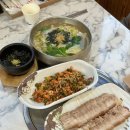 수제비 장인이 만드는 대구칼국수맛집 ‘진주손칼국수손수제비’ 먹고 온 후기
