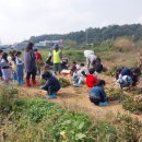 포리초등학교 이미지