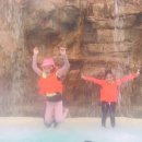 용인대 온누리 태권도장 이미지