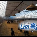 염소사랑 농장 네이버블로그