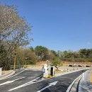 강아지 테마파크 | 김해댕댕파크 갔다가 김해테마파크에 반하고 온 후기