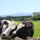 월드목장 이미지