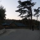 양양 낙산사 칠층석탑 이미지