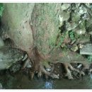 연리지농장 이미지