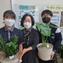 경기인터넷신문