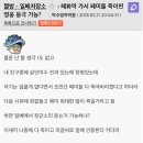 일베 살인예고 또 떴다(실시간!!) 이미지