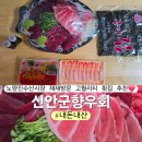 신안군향우회 노량진수산시장 횟집 생참치회 포장후기 내돈내산