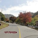 내리계곡로 Daum카페