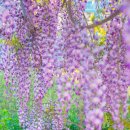 합도초등학교 이미지